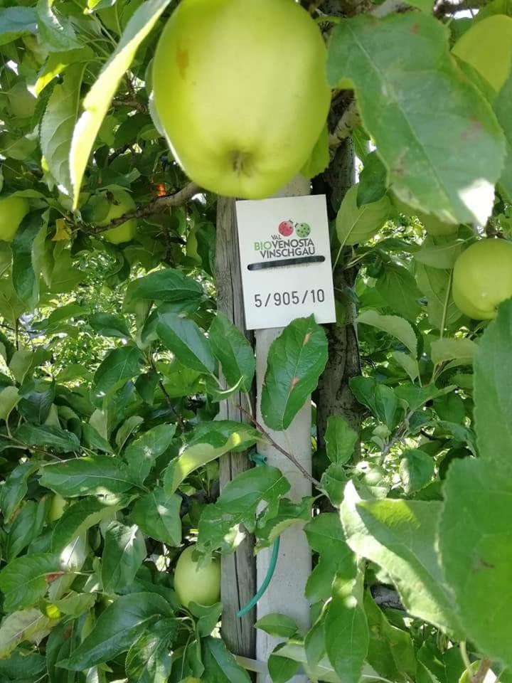 Gasthaus Weisskugel Ξενοδοχείο Malles Venosta Εξωτερικό φωτογραφία